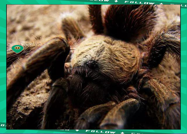 爱游戏体育- 世界足球莱万多夫斯基 